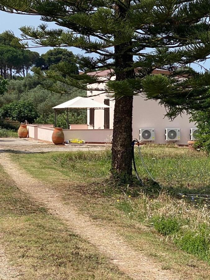 אלגהרו Miquel Fort - Casina Di Campagna מראה חיצוני תמונה